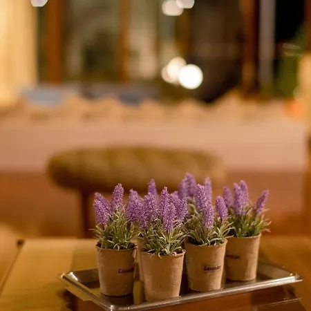 Holiday Palea Ethniki Odos Korinthou Patron * Agios Vasilios (Peloponnese)